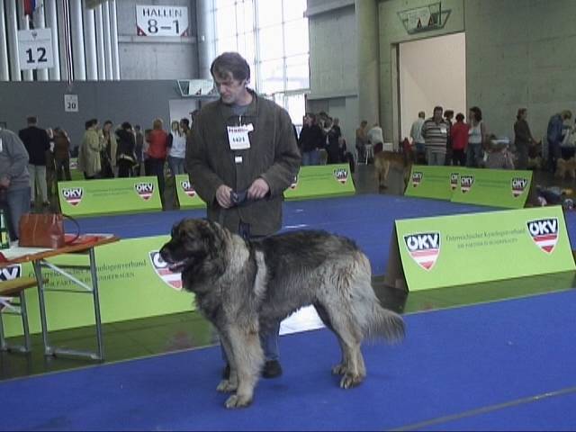 Salzburg Clubschau Mai 06 075 